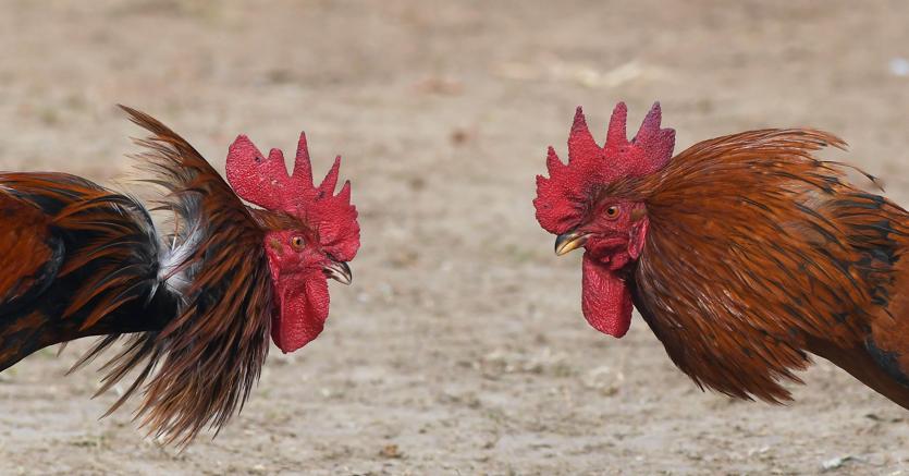 Immagine per la news Mindfulness, il segreto per gestire gli effetti dello stress e dell&rsquo;ansia