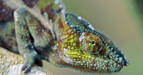 Immagine per la news Change management? A cambiare deve essere soprattutto la mentalit&agrave;