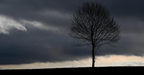 Immagine per la news Dalla resilienza all&rsquo;elasticit&agrave; mentale: le 5 competenze per il cambiamento